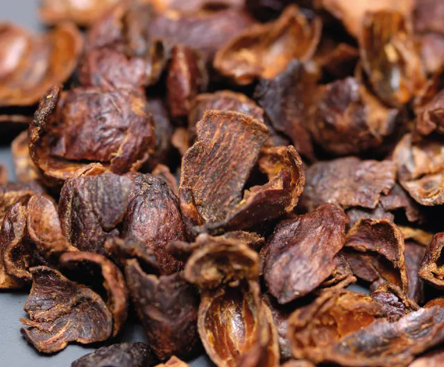 Cascara Kaffeekirschen-Tee